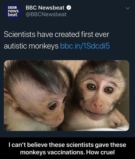 Scientists Have Created First Ever Autistic Monkeys 1sdcdi5 I