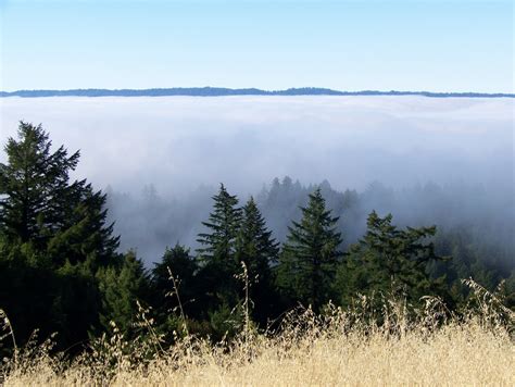 About The Santa Cruz Mountains — The Santa Cruz Mountains Bioregional