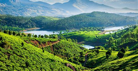5 reasons why god s own country kerala should be your next trip ceoworld magazine
