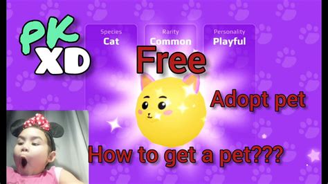 How To Get Your Own Pet For Free In Pk Xd Adopting A Pet At Pkxd Pet