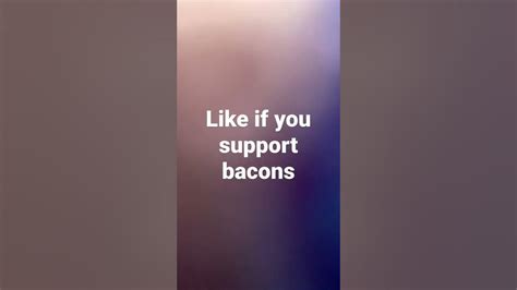 Like If You Support Bacons Youtube