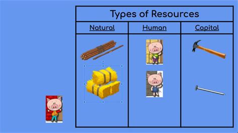 Types Of Natural Resources