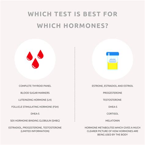 What Is The Best Way To Test Hormones Jill Chmielewski