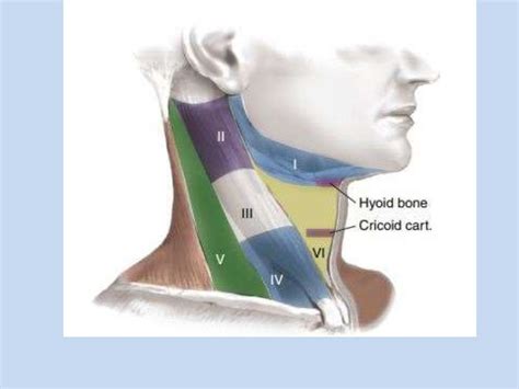 Cervical Lymphadenopathy