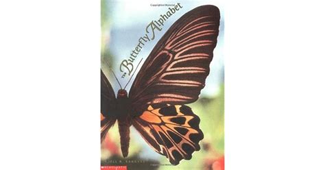 The Butterfly Alphabet By Kjell B Sandved