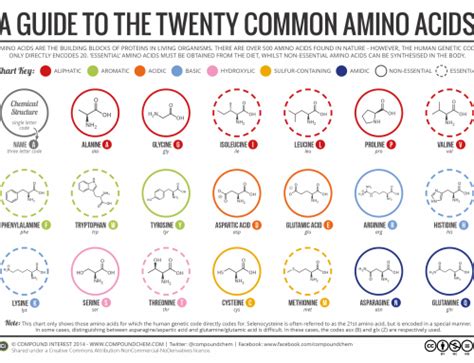A Guide To Simple Heterocycles In Organic Chemistry Compound Interest