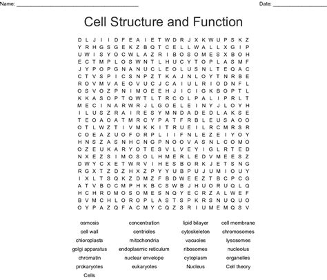 Cell Word Search Printable Word Search Printable