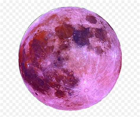 Pink Moon Png Picture Full Moon Blood Moon Png Free Transparent Png