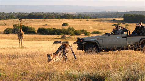 Eastern Cape Game Reserve Safaris East Cape Tours And Safaris