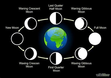 From New Moon Day Waxing Crescent Moon Grows Till Is About Half Full