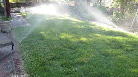 Master Gardener Are You Overwatering Your Lawn