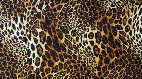 🔥 Download Leopard Wallpaper Wallpup By Blaked16 Leopard Backgrounds