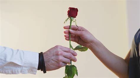 A Man Gives A Red Rose To A Woman Stock Video Footage Storyblocks