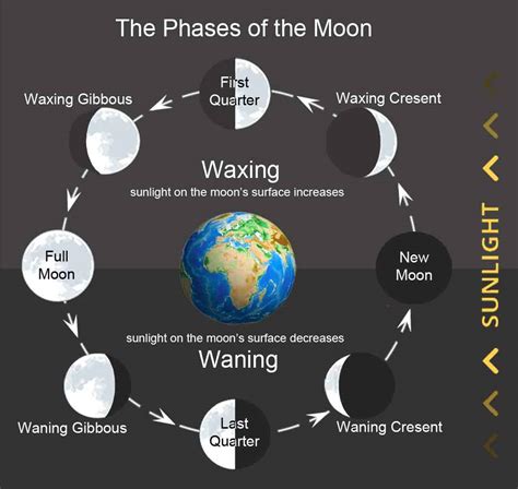 Picture Of The Moon Phases In Order