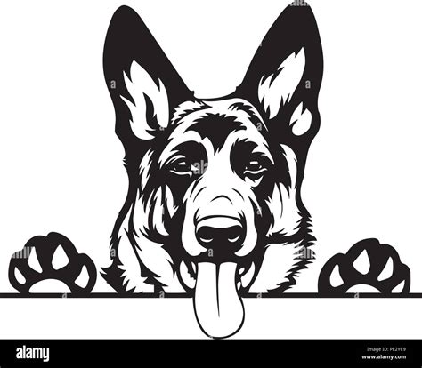 German Shepherd Breed Pet Puppy Isolated Head Face Stock Vector Image