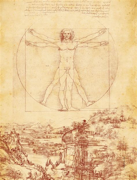 Hombre De Vitrubio Por Leonardo 1487 Galería De La Academia Venecia