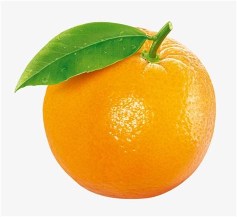 100 Epic Best Orange わわこめな