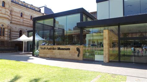 South Australian Museum Our Global Unschool Adventure