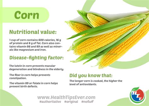 Corn Health Benefits Health Tips Ever Magazine