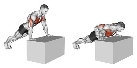 Lower Chest Workout At Home For A Balanced Chest A Lean Life