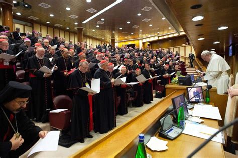 At Vatican Summit Senior Church Officials Propose Holding Bishops
