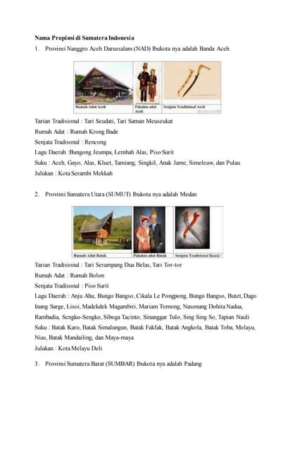 Gambar Dan Nama Rumah Adat Dari 33 Provinsi Di Indonesia Pdf