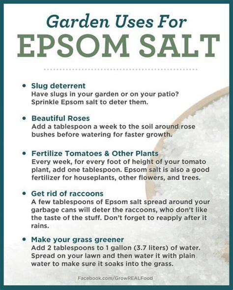 Good Info About The Garden Uses Of Epsom Salts Epsom Salt Garden