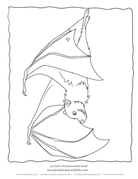 Fruit Bat Coloring Pages