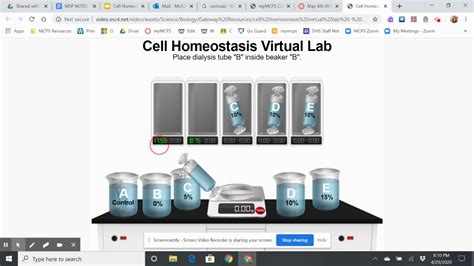 Paul andersen starts with a brief description of diffusion and osmosis. Dialysis Virtual Lab, Biology, Worksheet : Hs Science ...