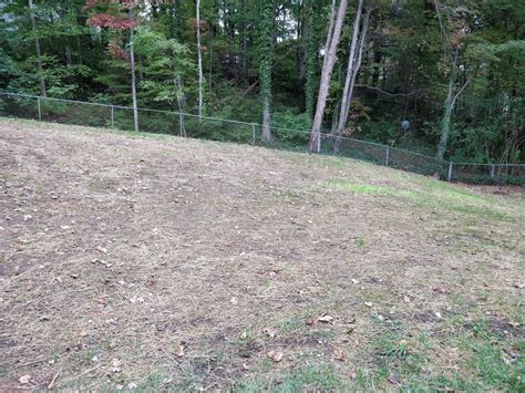 How often you water a lawn depends upon how much water it takes to soak the root zone, the type of grass you have and the weather. A failed new lawn? Tall fescue grass seed (landscaping ...