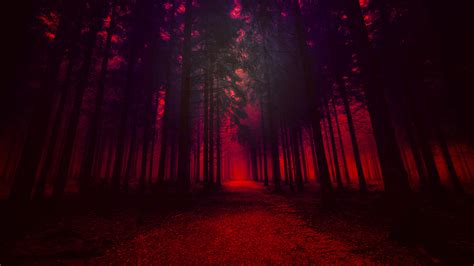 Tons of awesome aesthetic red 4k wallpapers to download for free. Artistic Red Forest, HD Nature, 4k Wallpapers, Images ...