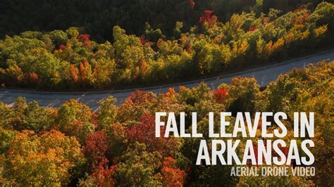 Fall Leaves In Arkansas Aerial Drone Video Youtube