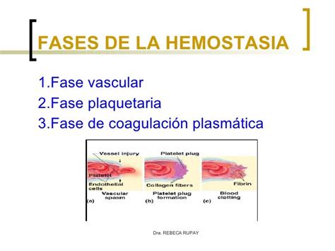 Hemostasia En Cirugia