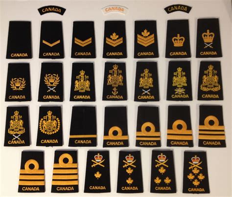 Canadian Navy Rank Set Male Epaulettes Ranks Canada Armed Forces