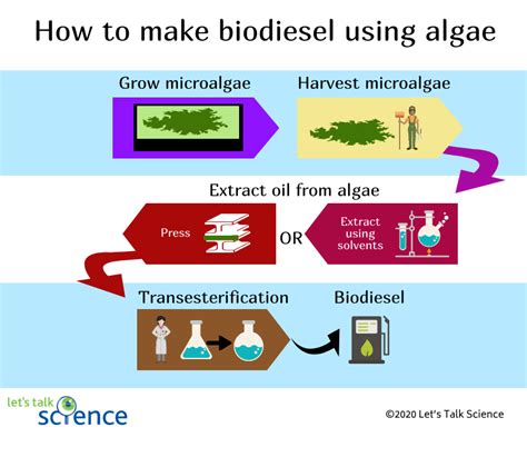 Algae Biofuel Can Pond Scum Power The Planet Lets Talk Science