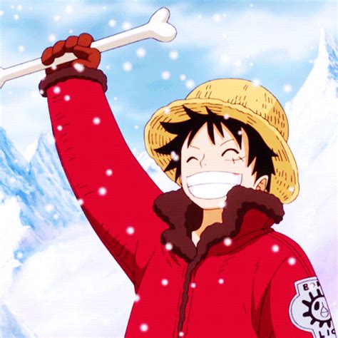 Encuesta ¿el Merry O El Sunny One Piece Amino