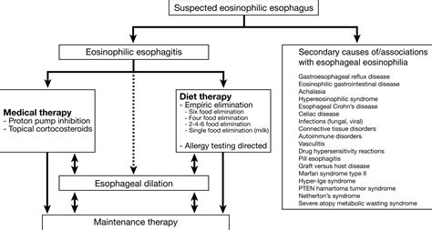 How To Approach A Patient With Eosinophilic Esophagitis Gastroenterology