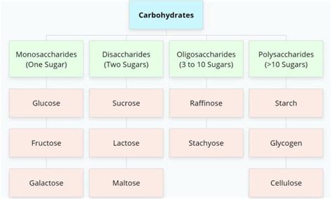 Introduction To Carbohydrates