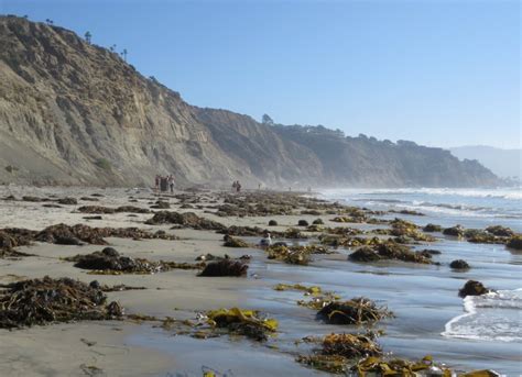 South Blacks Beach In La Jolla Ca California Beaches