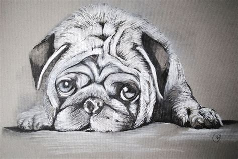 Cool Drawings Of Animals Realistic Animal Drawings Realistic Drawings