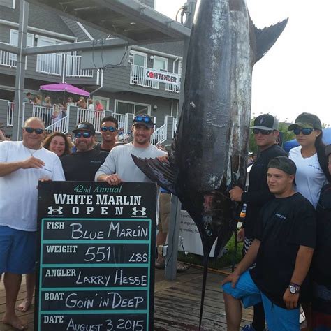 White Marlin Open Day Ocean City Md Fishing