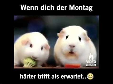 Die besten lustige whatsapp bilder und chat fails: Lustige Videos für WhatsApp 😂 Deutsch - YouTube