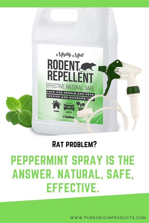 Mighty Mint Rodent Repellent Peppermint Spray 128 Oz Rodent