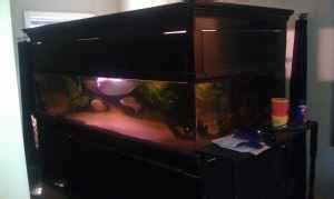 Find here details of companies selling glass aquariums, for your purchase requirements. Giant Aquariums: 400 gallon aquarium fish tank - $1500 ...