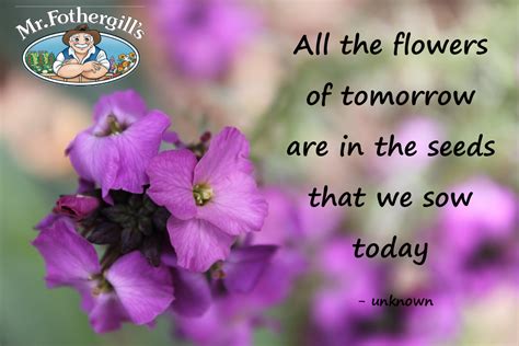 All The Flowers Of Tomorrow Are In The Seeds That We Sow Today