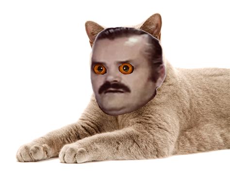 Please wait while your url is generating. RISITAS Echecs amoureux, dépucelage raté, tromperies et ...