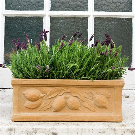 Through our window planters, hanging window boxes, wood window boxes and many. Buy Citrus Window Box — The Worm that Turned ...