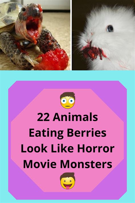 22 Animals Eating Berries Look Like Horror Movie Monsters Horror