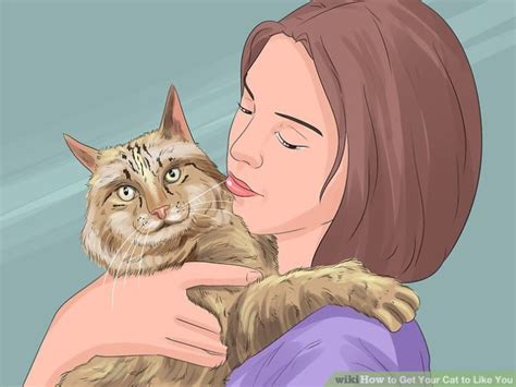 News Do You Know How To Hold A Cat Properly