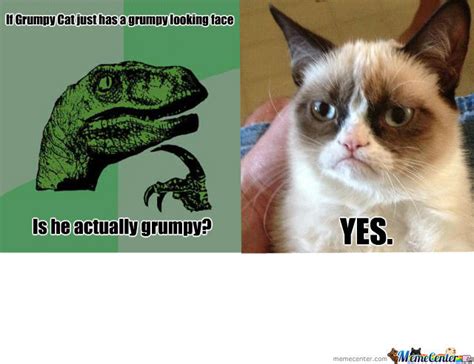 Grumpy Cat By Raccoonfaceinc Meme Center